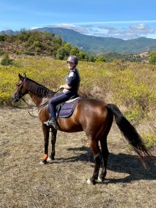 Mountain horse riding Estepona Ranch Siesta Los Rubios