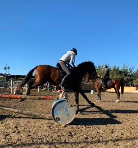 Jumping lesson adult riding lessons at Ranch Siesta Los Rubios Dec 20