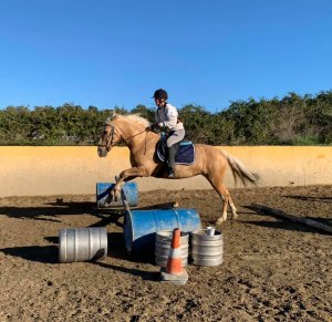 Jumping lesson adult riding lessons at Ranch Siesta Los Rubios Dec 20