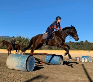 Jumping lesson adult riding lessons at Ranch Siesta Los Rubios Dec 20