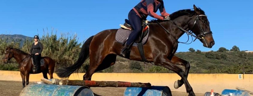 Jumping lesson adult riding lessons at Ranch Siesta Los Rubios Dec 20