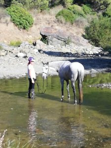 River riding horse riding Estepona