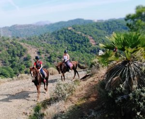 Mountain horse riding Estepona Ranch Siesta Los Rubios