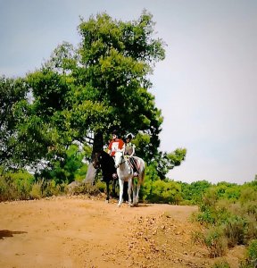 Mountain horse riding Estepona Ranch Siesta Los Rubios