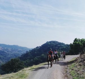 Mountain horse riding Estepona Ranch Siesta Los Rubios