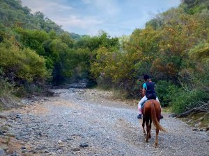 Mountain horse riding Estepona Ranch Siesta Los Rubios