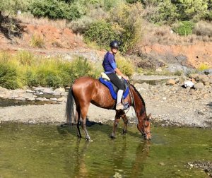 River riding horse riding Estepona