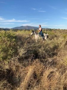 Mountain horse riding Estepona Ranch Siesta Los Rubios