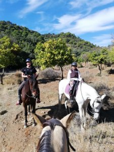 Mountain horse riding Estepona Ranch Siesta Los Rubios