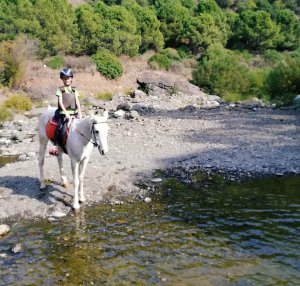 River riding horse riding Estepona