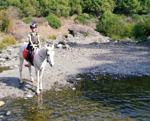 River riding horse riding Estepona