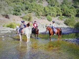 River riding horse riding Estepona