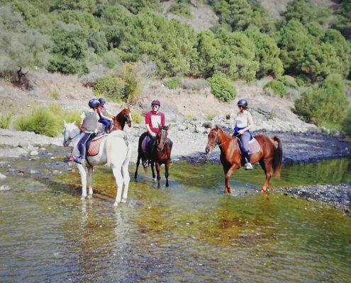 River riding horse riding Estepona