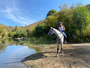 River riding horse riding Estepona