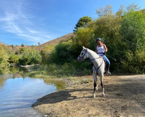 River riding horse riding Estepona