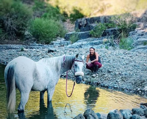 River riding horse riding Estepona