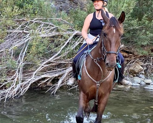 River riding horse riding Estepona