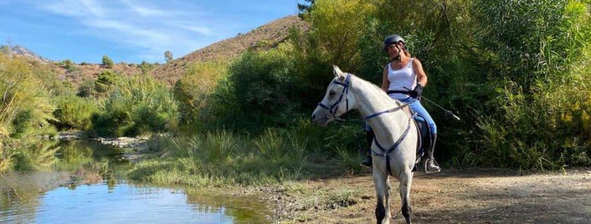 River riding horse riding Estepona