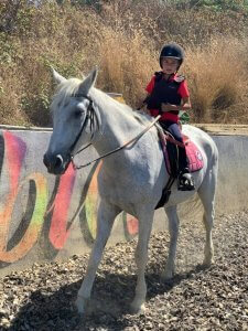 Ranch Siesta Los Rubios Estepona riding lessons for children
