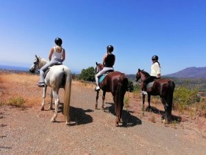 Ranch Siesta Los Rubios Estepona the view